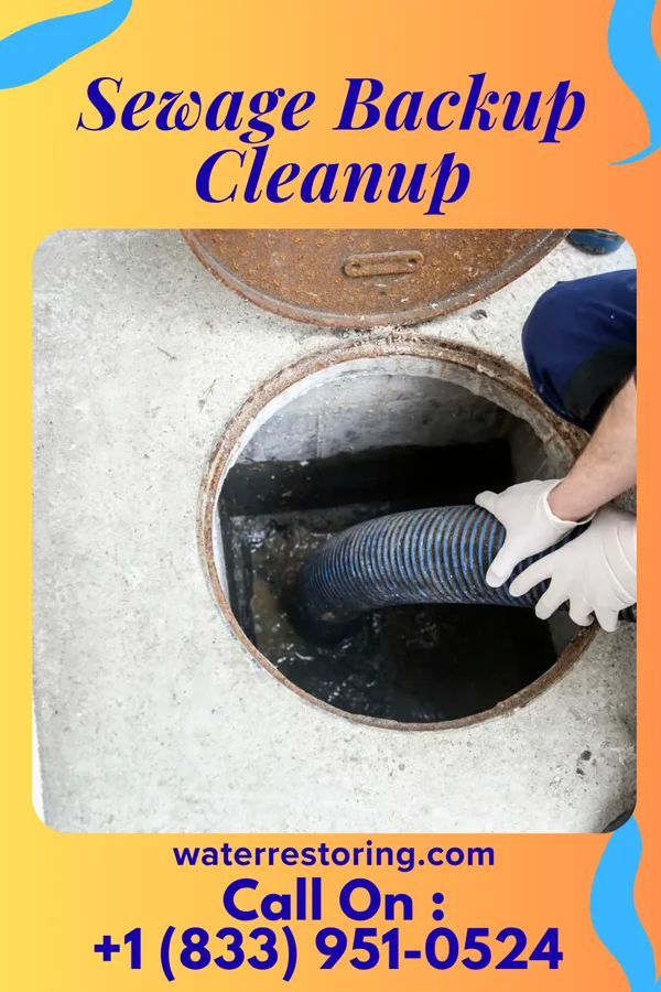Sewage Backup Cleanup in Tipp City, OH