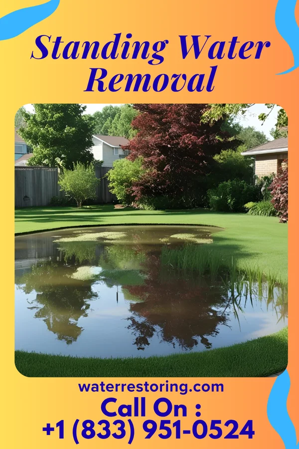 Standing Water Removal in Tipp City, OH